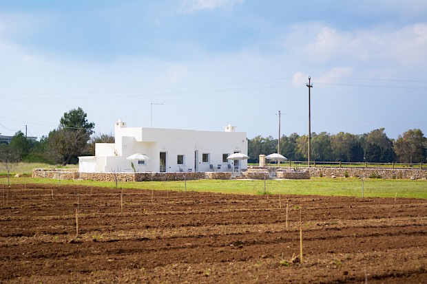 La Casa Vacanze vista dal ficheto
