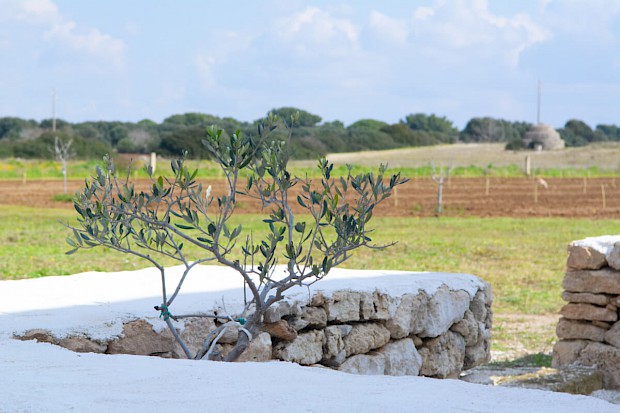 Un territorio straordinario